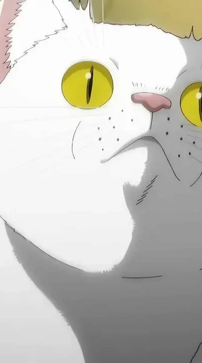 A high-quality screenshot from The Night of The Living Cat anime.