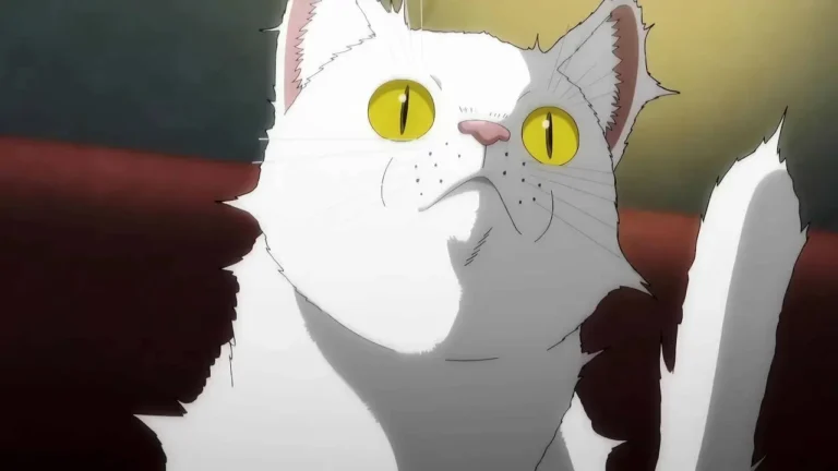Everything We Know About Night of The Living Cat Season 2